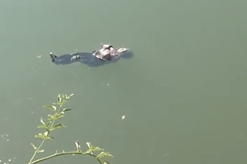 float-600x400.jpg float-600x400.jpg