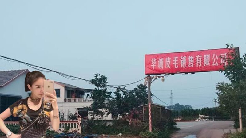 9893b545c8714f17b173f6550059e4c6-800x450.jpeg 9893b545c8714f17b173f6550059e4c6-800x450.jpeg