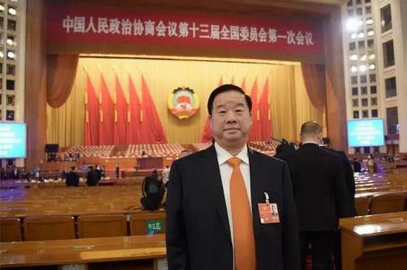 新华联集团总裁傅军出席中国人民政治协商会议第十三届全国委员会第一次会议.jpg 新华联集团总裁傅军出席中国人民政治协商会议第十三届全国委员会第一次会议.jpg