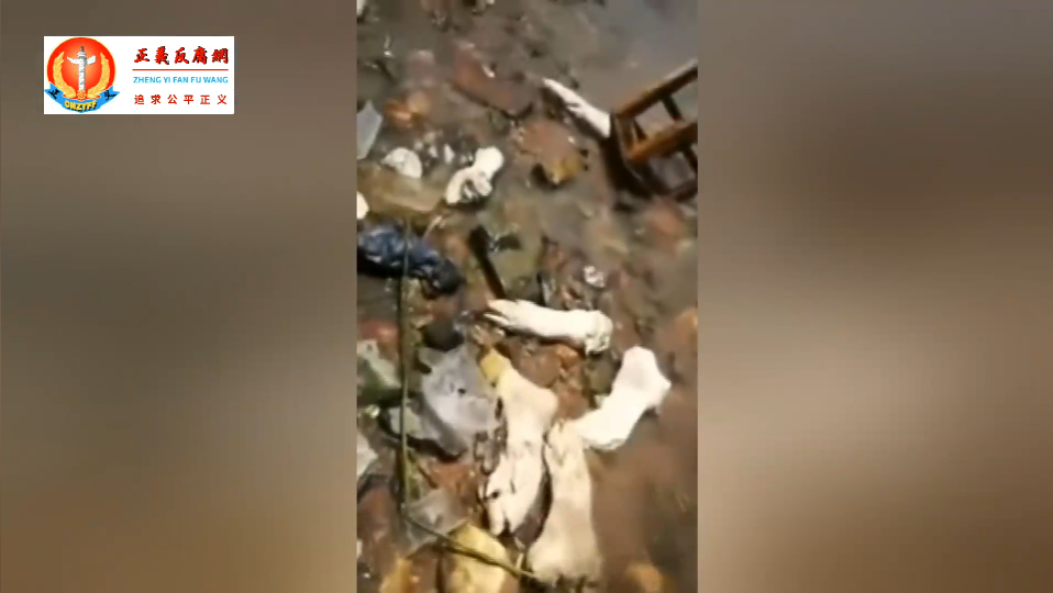 7月11号,东莞虎门大桥对面的海滩惊现大量猪蹄.png 7月11号,东莞虎门大桥对面的海滩惊现大量猪蹄.png