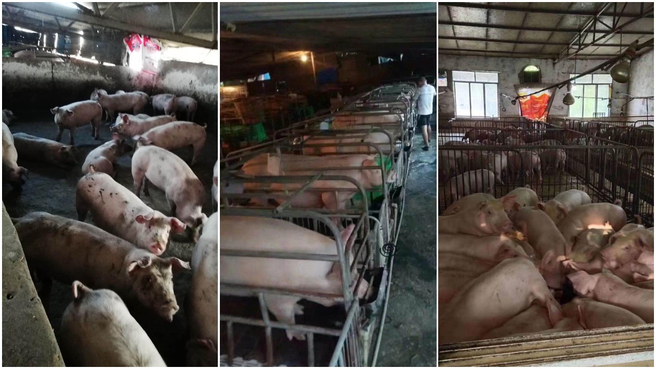 pjimage-4.jpg pjimage-4.jpg