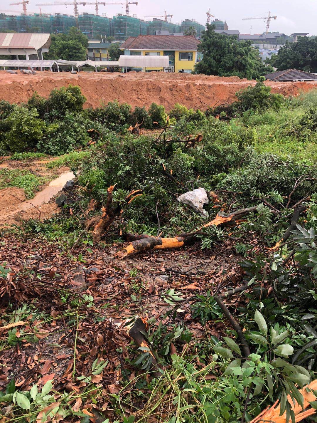 S__2392073.jpg S__2392073.jpg