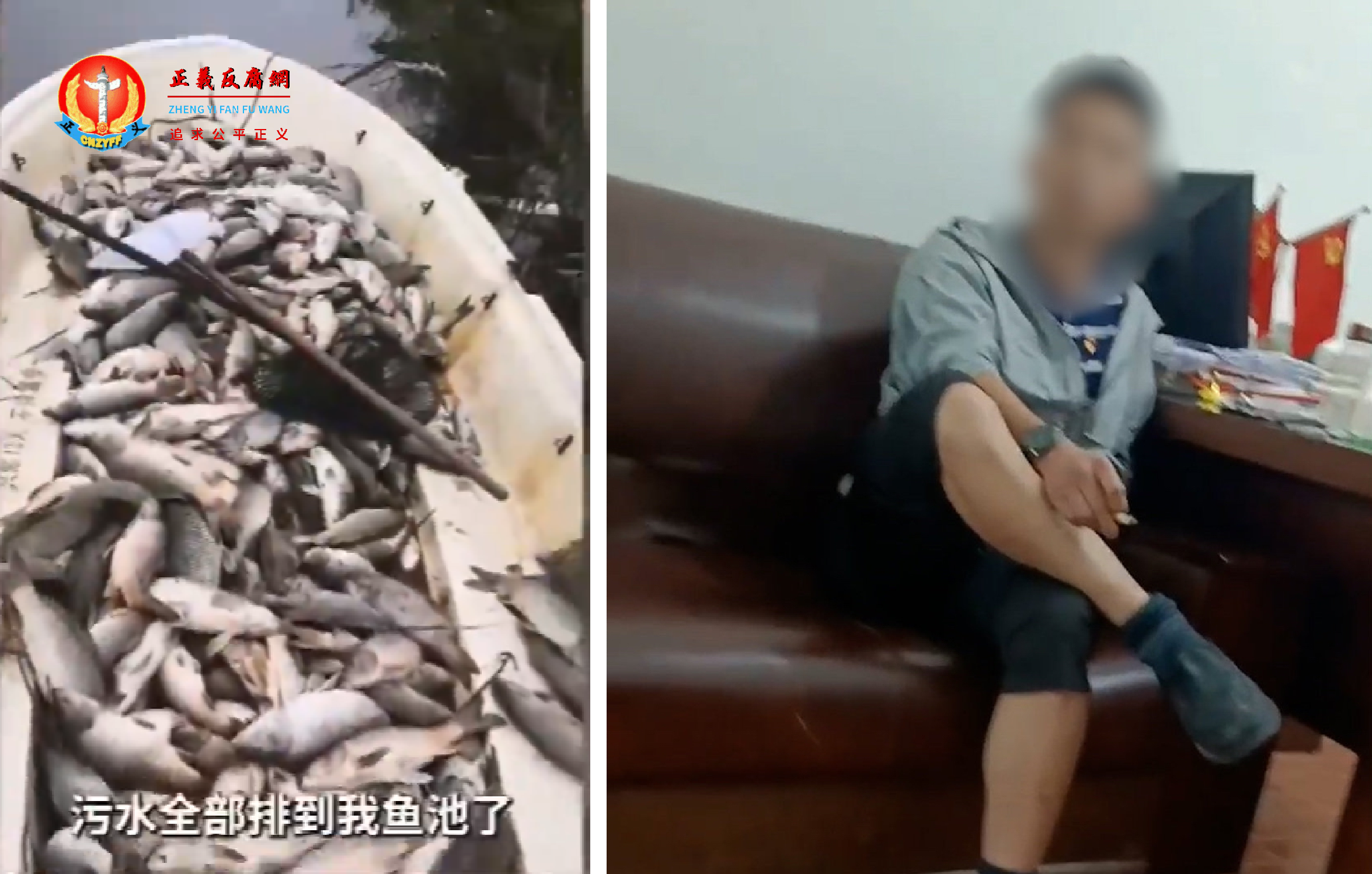 大荔县范家镇政府副镇长李小丹用“滚出去”赶走前来反映鱼塘污染问题的村民。.png 大荔县范家镇政府副镇长李小丹用“滚出去”赶走前来反映鱼塘污染问题的村民。.png