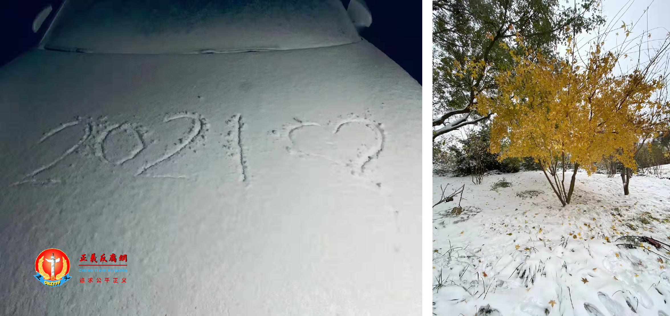 北京下雪的情况。.png 北京下雪的情况。.png