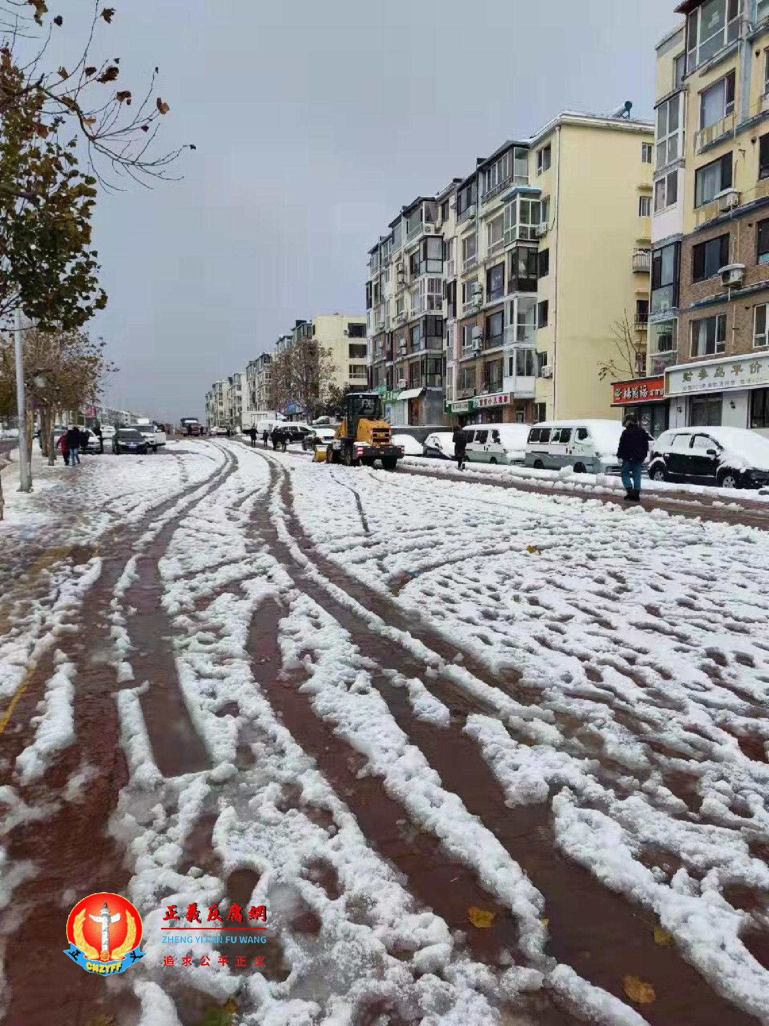 大连下雪的情况.png 大连下雪的情况.png