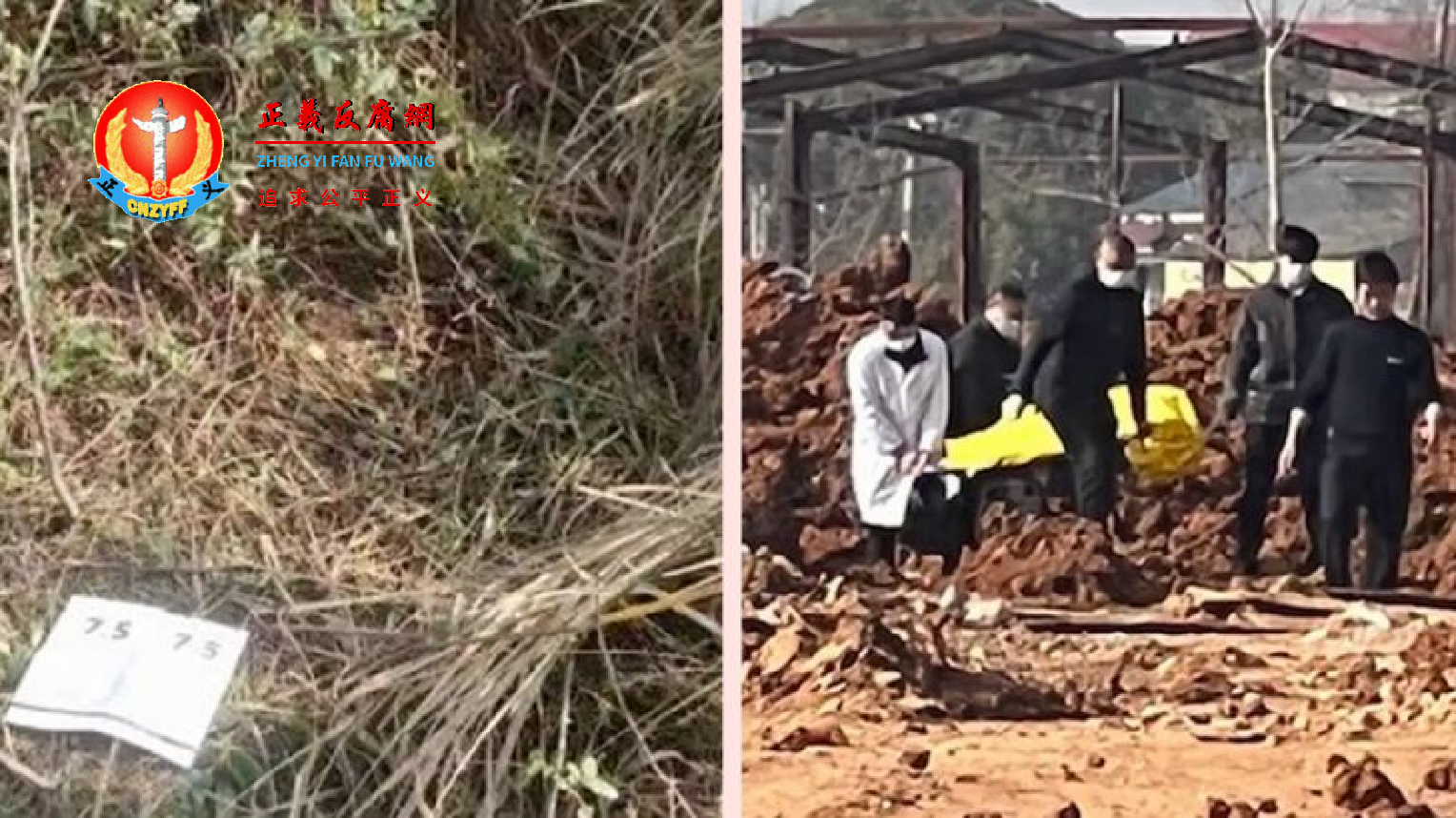 2021年12月18日,湖北鄂州一名女子在湖边草丛中,被偷猎者误当野猪射杀,并埋尸在荒野。.png 2021年12月18日,湖北鄂州一名女子在湖边草丛中,被偷猎者误当野猪射杀,并埋尸在荒野。.png