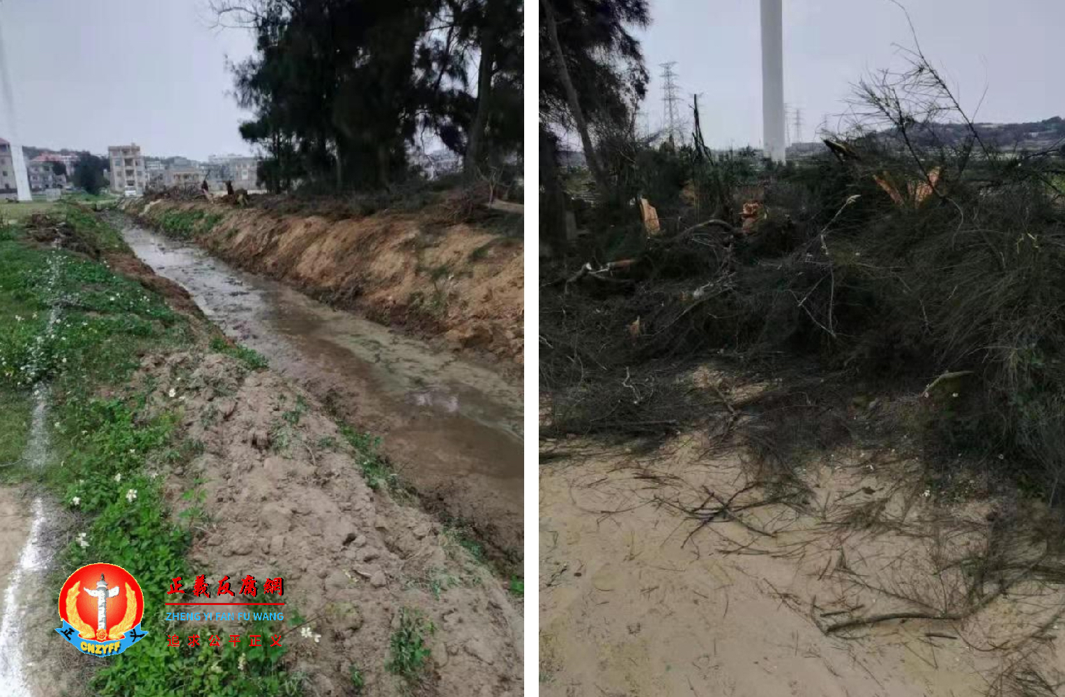 自然水渠两侧的树都被挖掘机挖掉。.png 自然水渠两侧的树都被挖掘机挖掉。.png