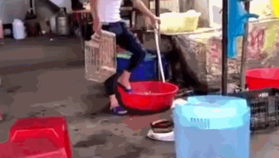 55d0e21bf21d4c82981402434557a302.gif 55d0e21bf21d4c82981402434557a302.gif