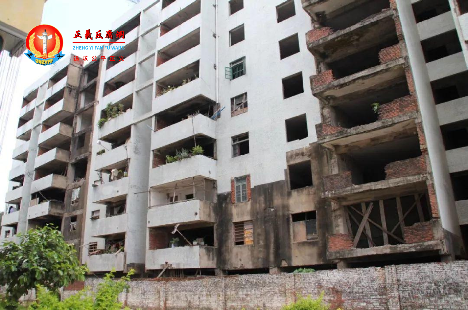 海口烂尾楼杂草丛生似鬼屋。.png 海口烂尾楼杂草丛生似鬼屋。.png