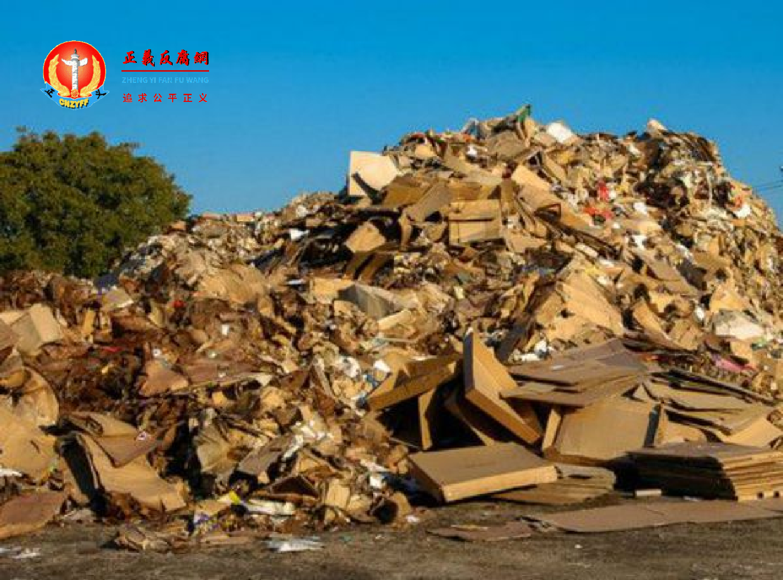 废纸回收上涨。.png 废纸回收上涨。.png