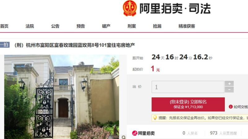 杭州市富阳区富春玫瑰园蓝玫苑8号101室,评估价值1713.26万元人民币的豪宅将拍卖,仅以1元起拍.png 杭州市富阳区富春玫瑰园蓝玫苑8号101室,评估价值1713.26万元人民币的豪宅将拍卖,仅以1元起拍.png