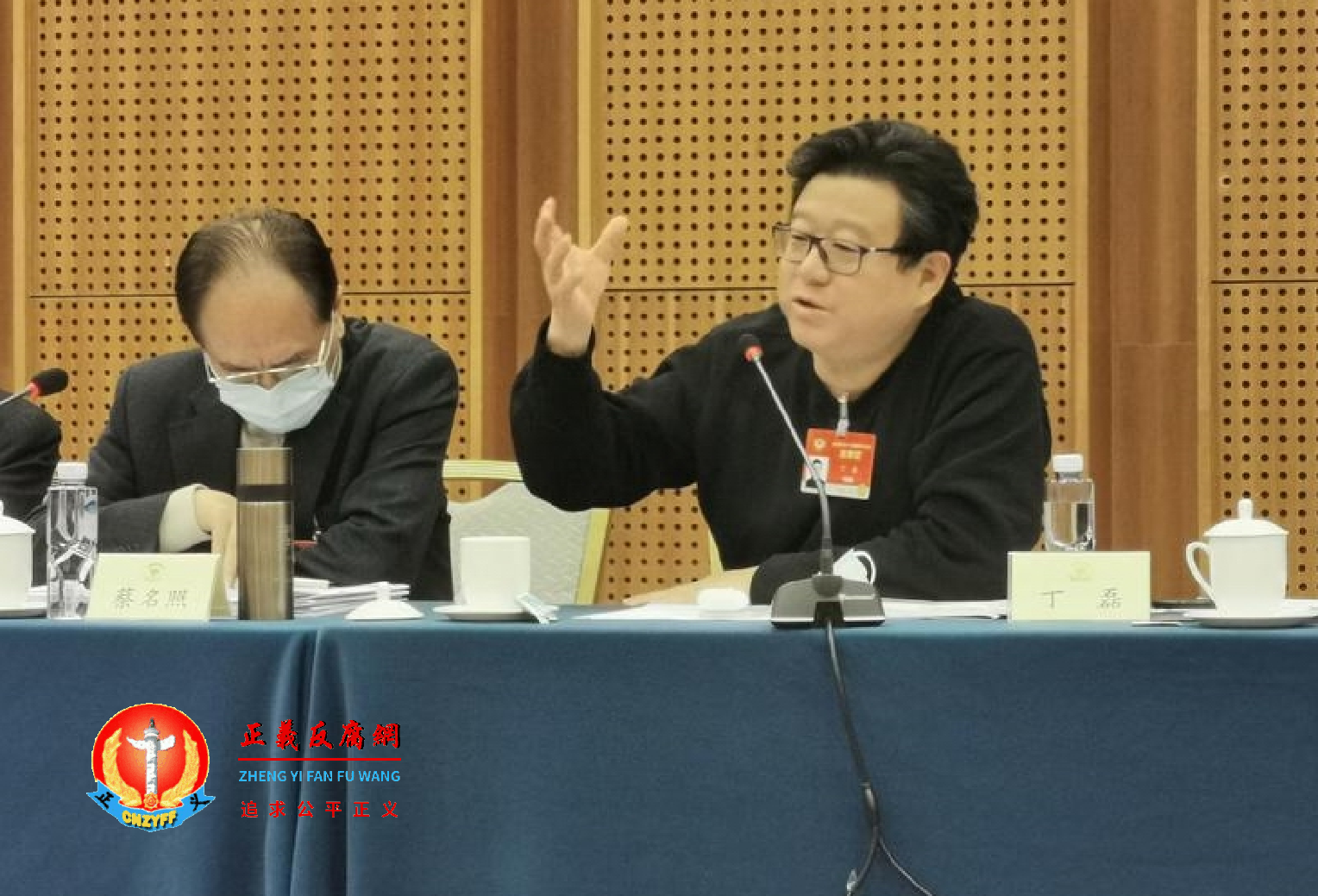 全国政协委员丁磊.png 全国政协委员丁磊.png