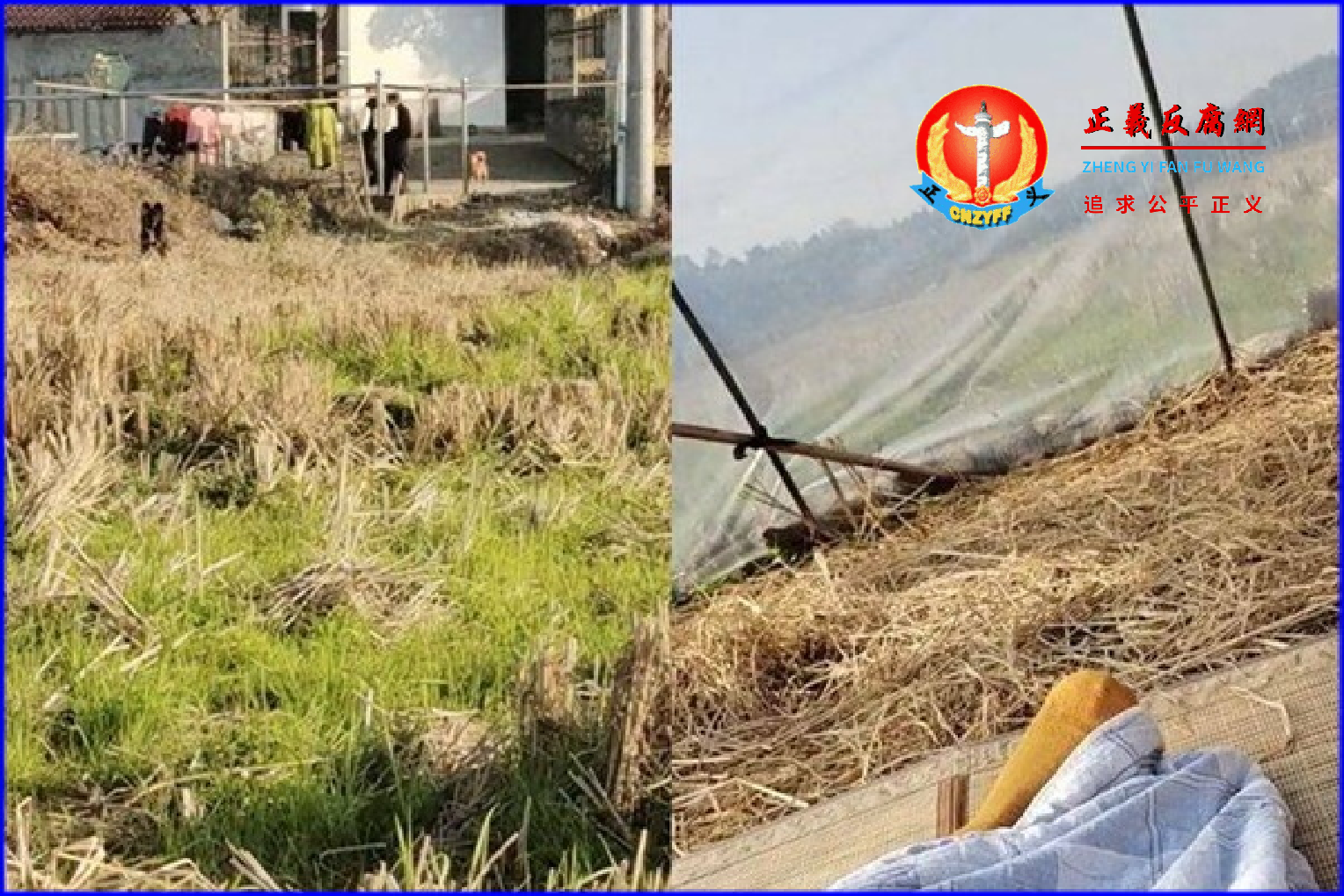 湖南湘潭一女子染疫后,担心感染家人,主动住到田地里的稻草棚内。.png 湖南湘潭一女子染疫后,担心感染家人,主动住到田地里的稻草棚内。.png