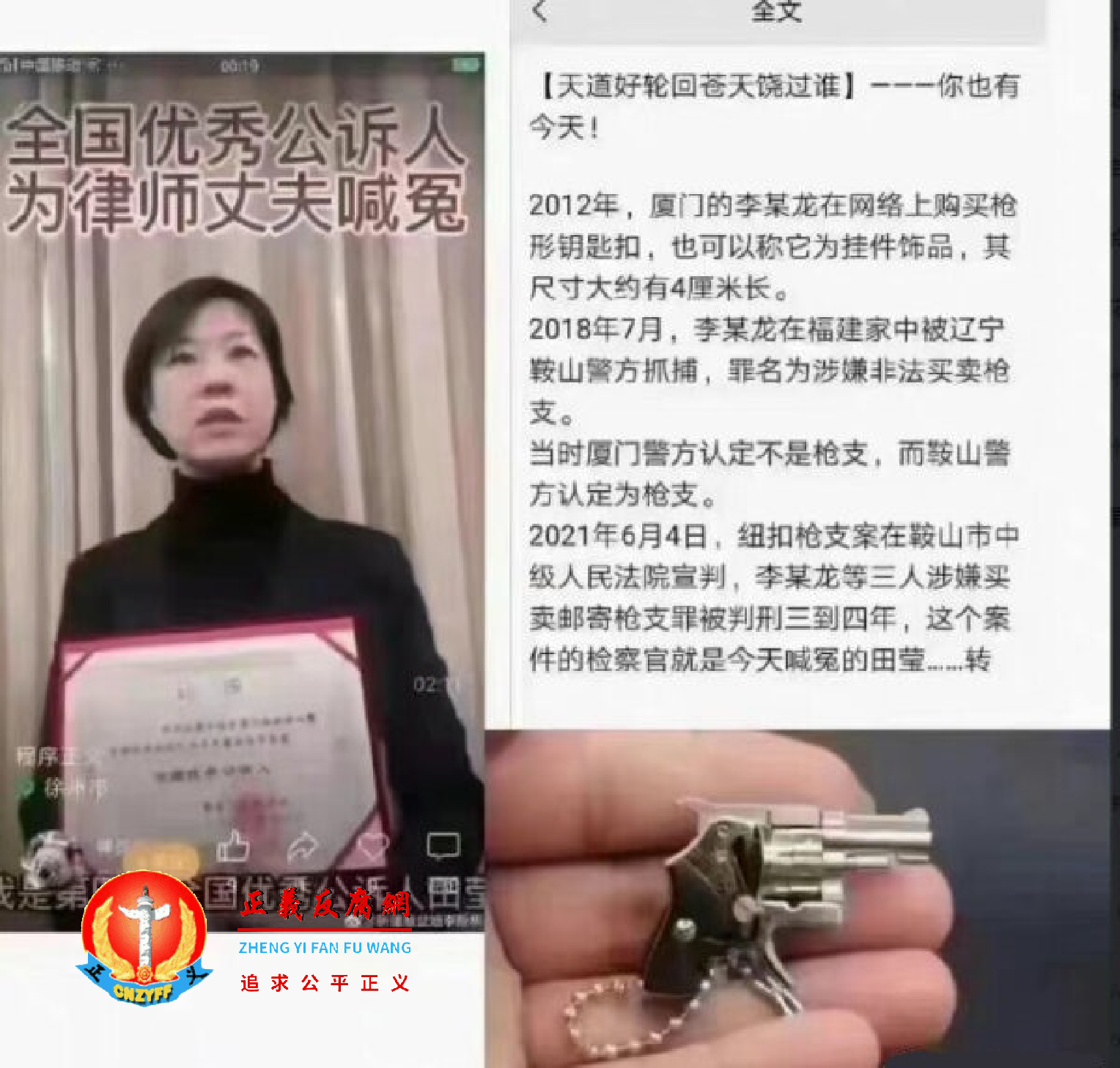 “4厘米钥匙扣枪案”中的公诉人田莹。.png “4厘米钥匙扣枪案”中的公诉人田莹。.png