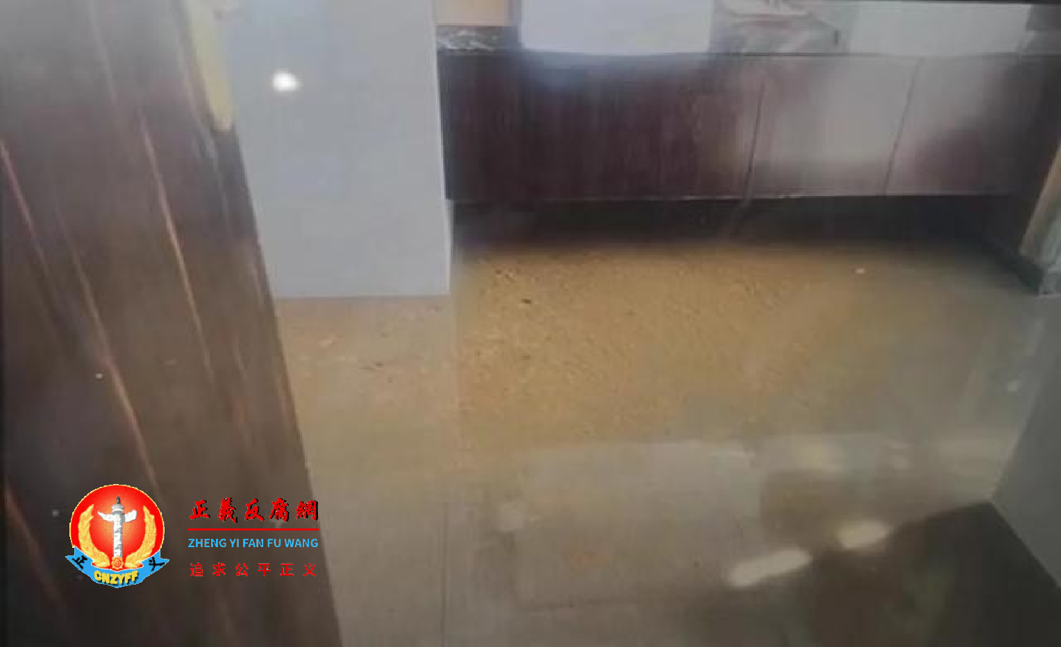 图为主卧卫生间的地面上,竟然布满了黄褐色的粪便和粪水.png 图为主卧卫生间的地面上,竟然布满了黄褐色的粪便和粪水.png