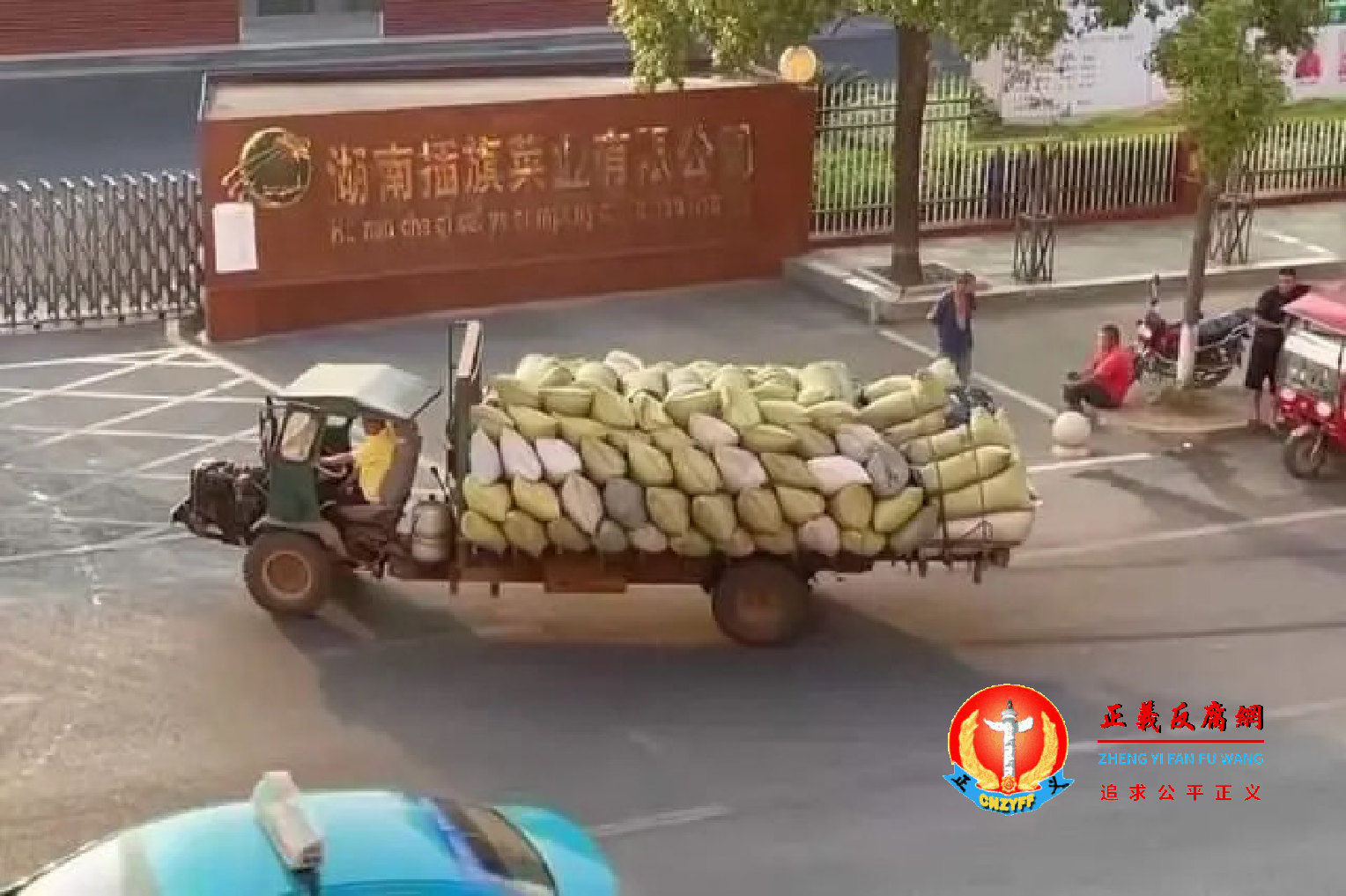 湖南插旗菜业有限公司.png 湖南插旗菜业有限公司.png