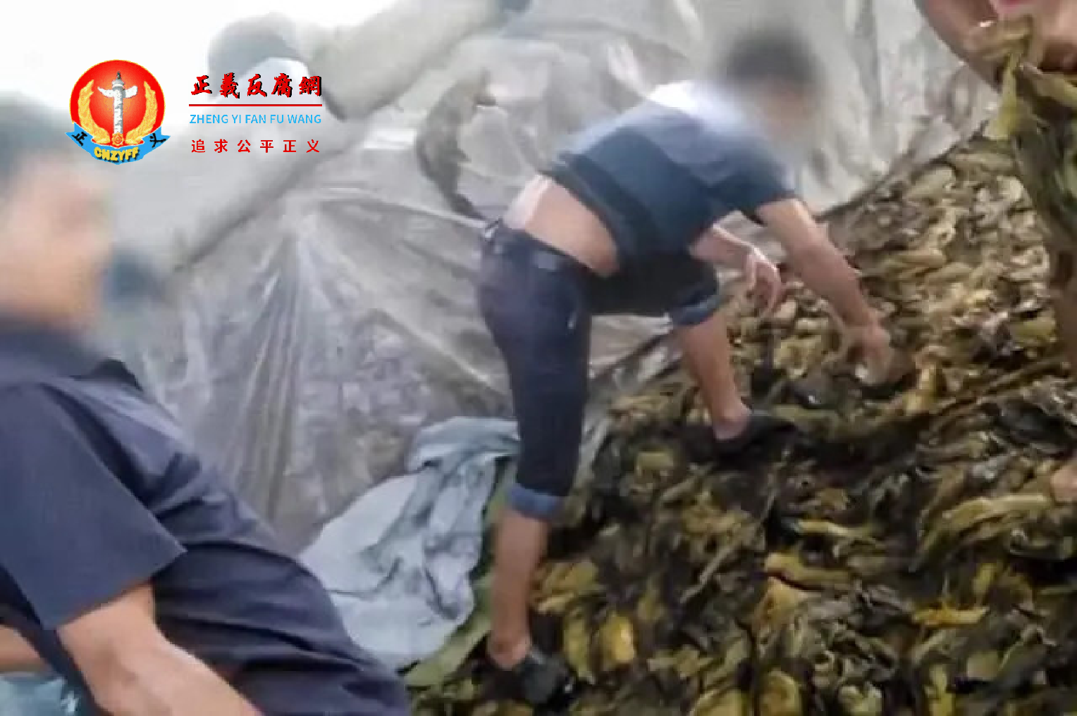 老坛酸菜事件可能去年夏天就已曝光“光脚踩”,央视一直压着不报。.png 老坛酸菜事件可能去年夏天就已曝光“光脚踩”,央视一直压着不报。.png