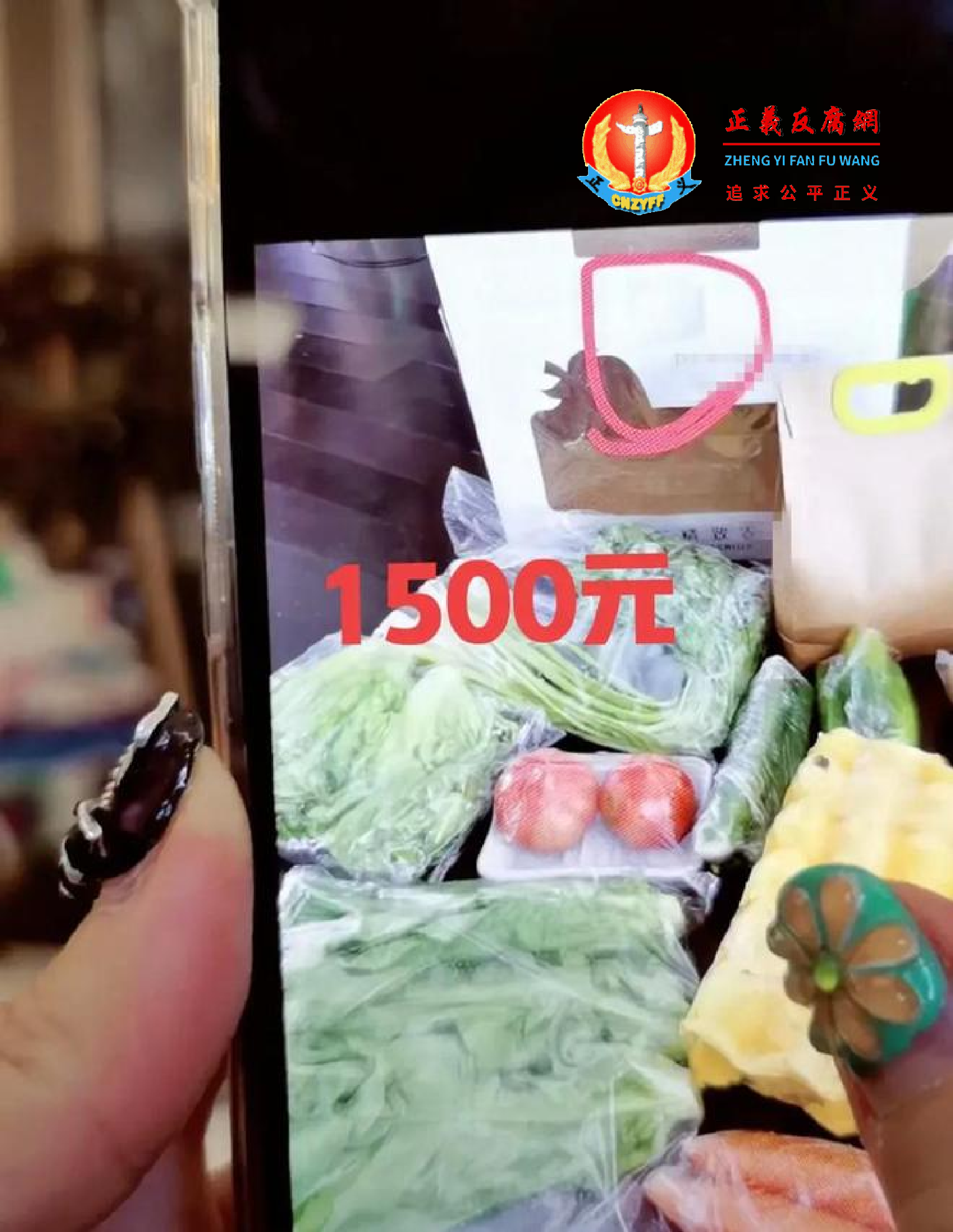 蒋丽莎晒出的账单显示,2根黄瓜,3个西红柿,15个鸡蛋,不到1斤的白菜,还有一袋米,总共花了1,500元.png 蒋丽莎晒出的账单显示,2根黄瓜,3个西红柿,15个鸡蛋,不到1斤的白菜,还有一袋米,总共花了1,500元.png