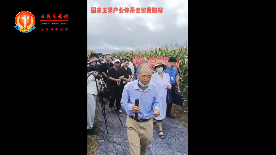 一群农业专家,脚踩“地毯”走在玉米地里观摩?.png 一群农业专家,脚踩“地毯”走在玉米地里观摩?.png